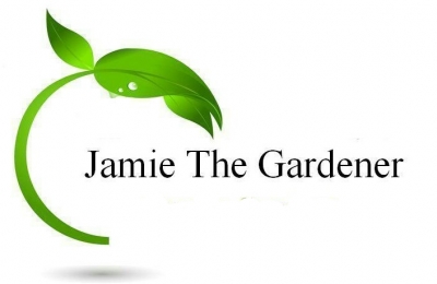 Jamie The Gardener 
