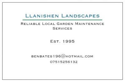 Llanishen Landscapes 